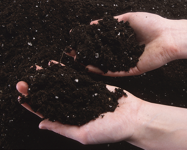 Holding Soil