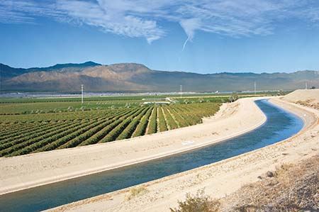 Coachella Canal and farm crop rows