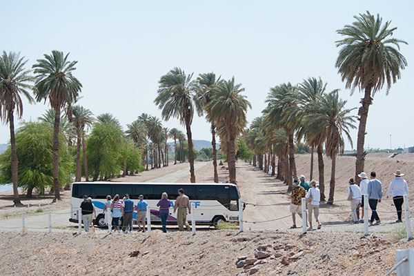 Tour on uneven ground