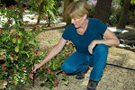 Woman Tending to a Plant